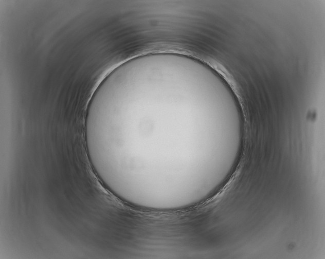 X0000095881089200801110758