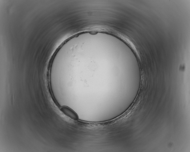 X0000095881091200801110758