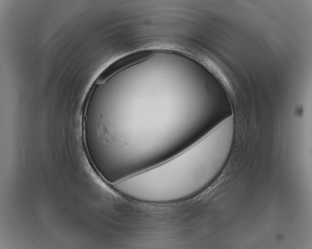 X0000095881092200801110758