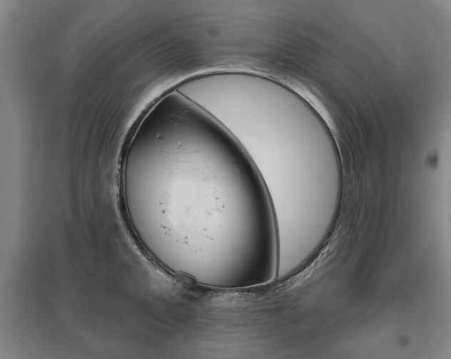 X0000095881093200801110758