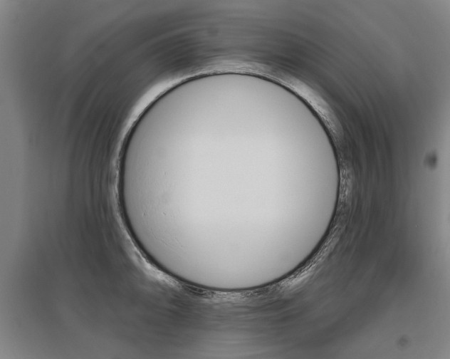 X0000095881094200801110758