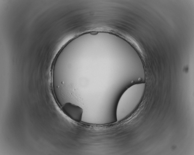X0000095881095200801110758