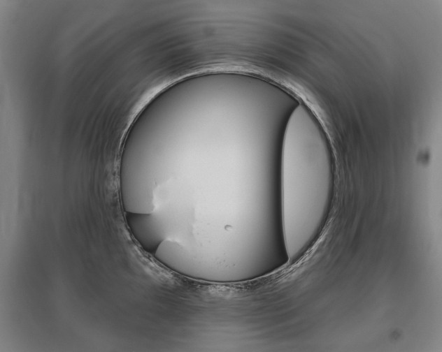 X0000095881097200801110758
