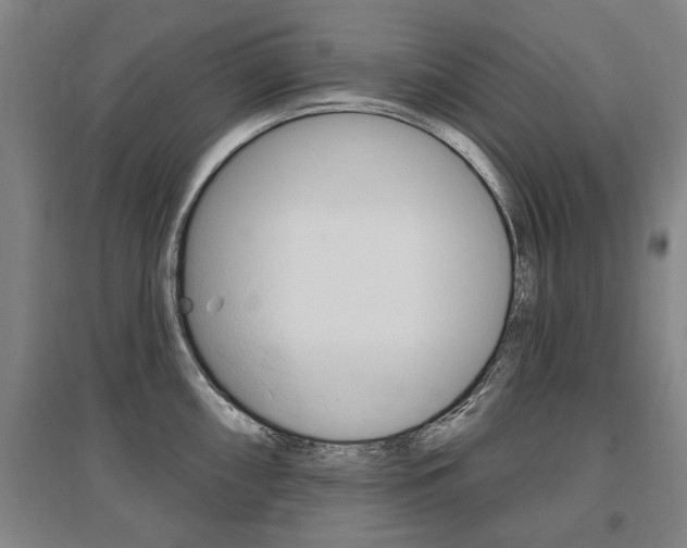 X0000095881098200801110758