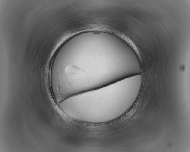 X0000095881099200801110758
