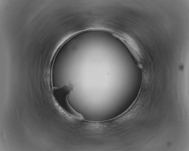 X0000095881100200801110758