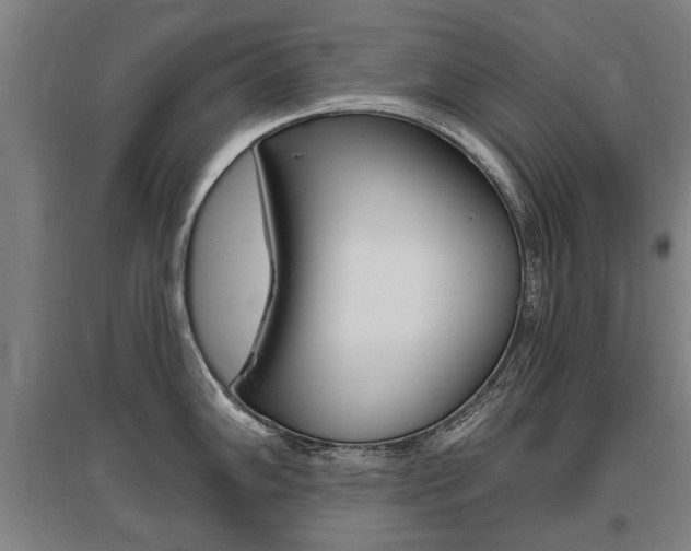 X0000095881102200801110758