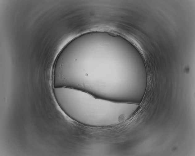 X0000095881103200801110758