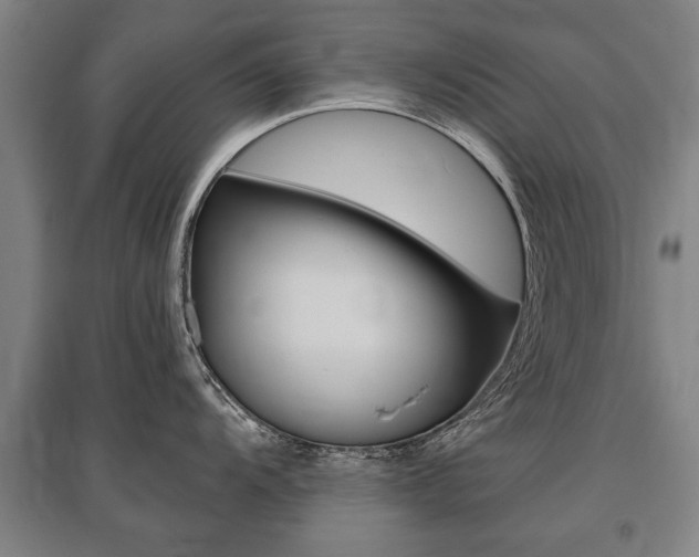 X0000095881104200801110758