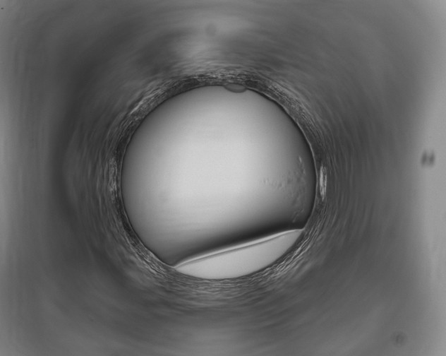 X0000095881107200801110758
