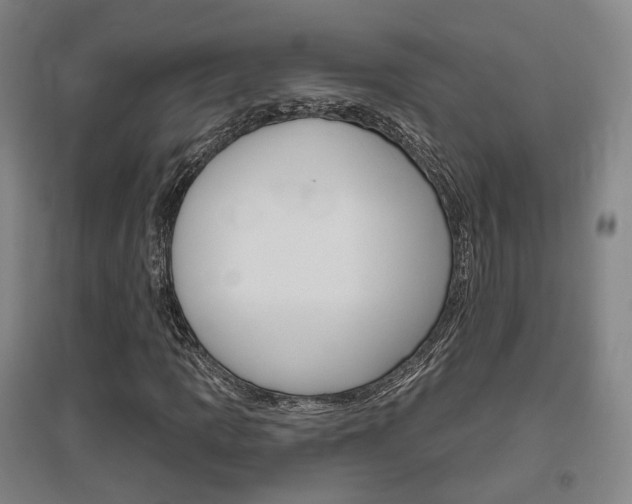 X0000095881109200801110758