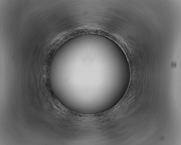 X0000095881110200801110758