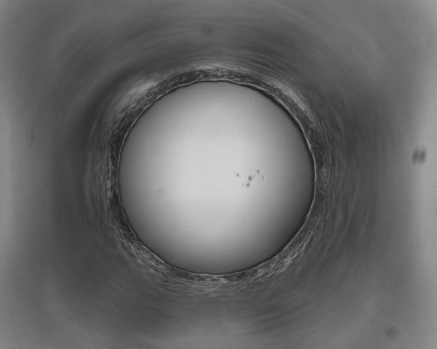 X0000095881111200801110758