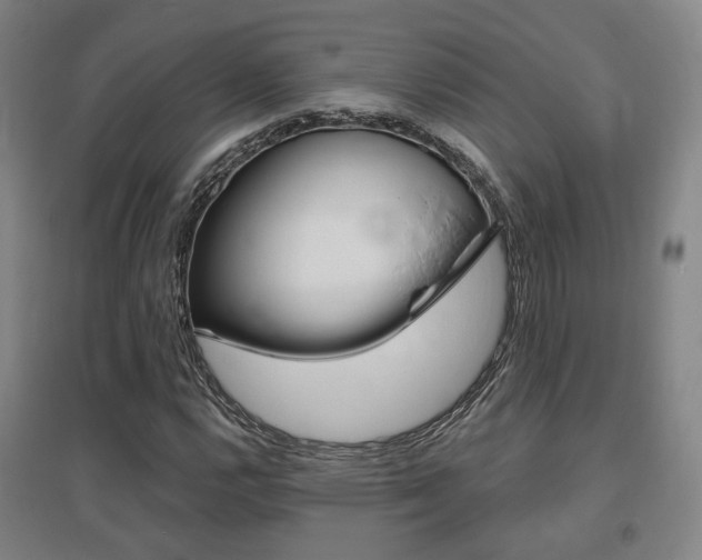 X0000095881112200801110758