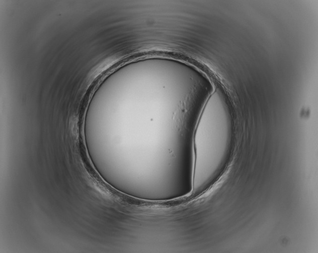 X0000095881113200801110758