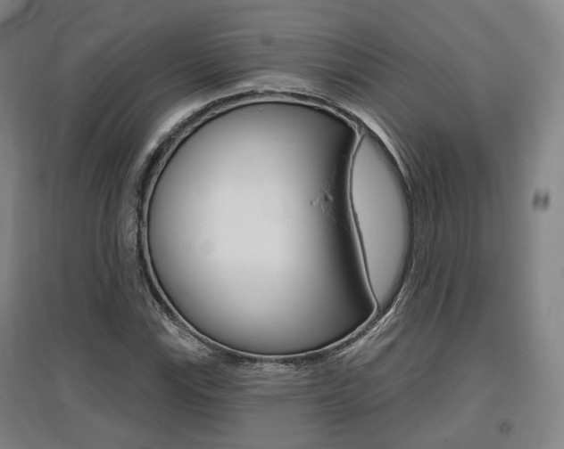 X0000095881115200801110758