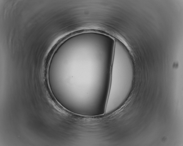X0000095881116200801110758