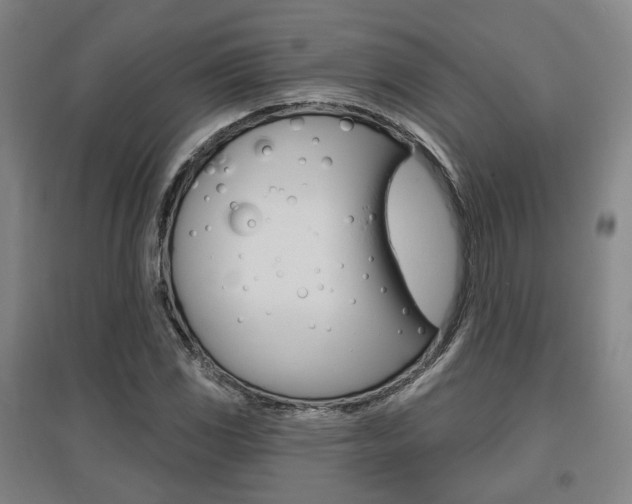X0000095881117200801110758