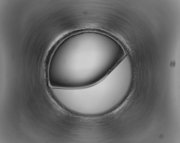 X0000095881118200801110758