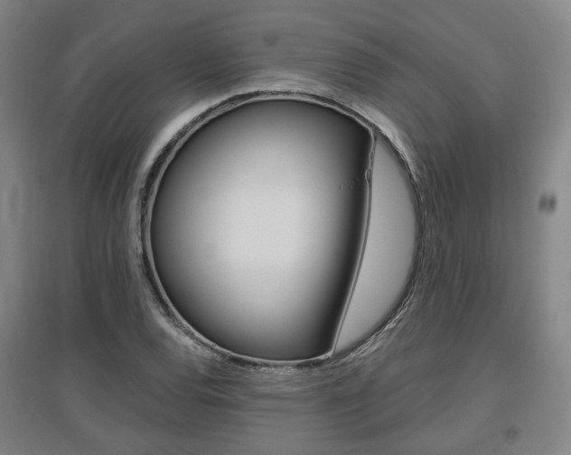 X0000095881120200801110758