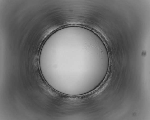 X0000095881121200801110758