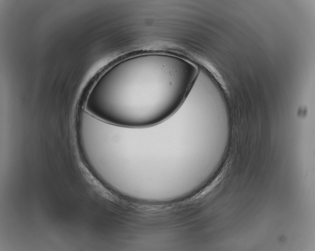 X0000095881122200801110758