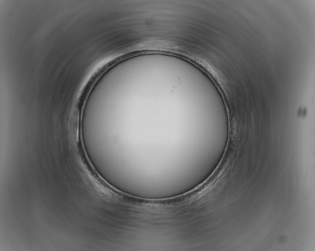 X0000095881123200801110758