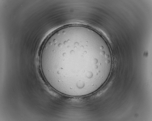 X0000095881125200801110758