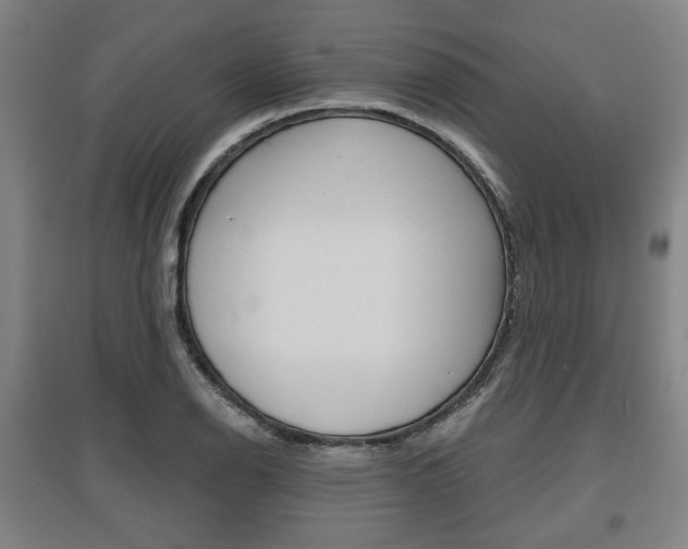 X0000095881126200801110758