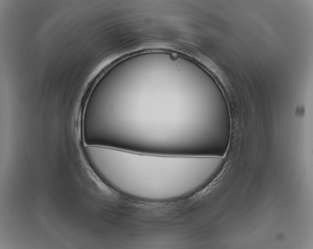 X0000095881127200801110758