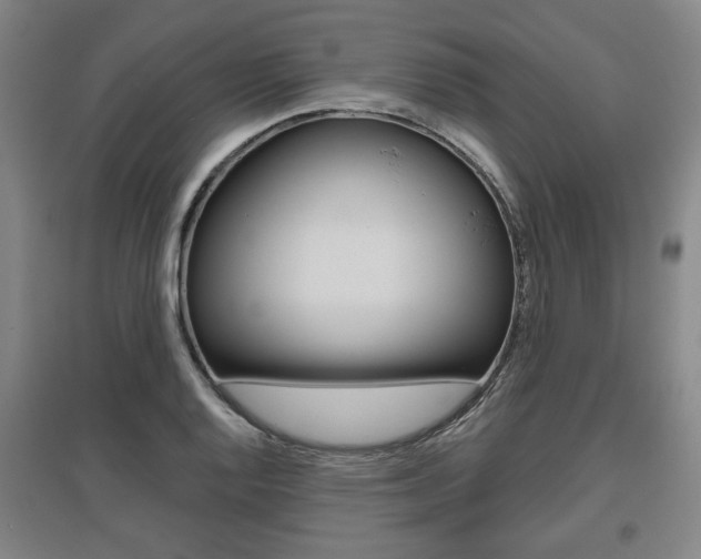 X0000095881128200801110758
