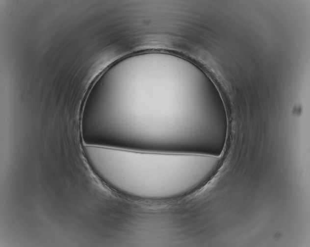 X0000095881129200801110758