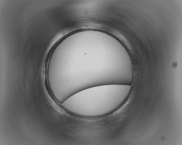 X0000095881130200801110758