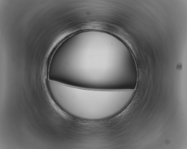 X0000095881131200801110758