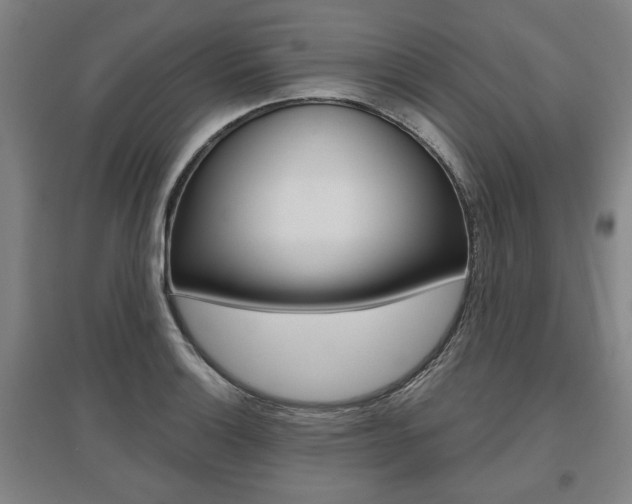 X0000095881132200801110758