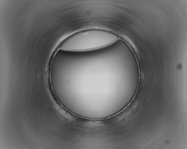 X0000095881133200801110758