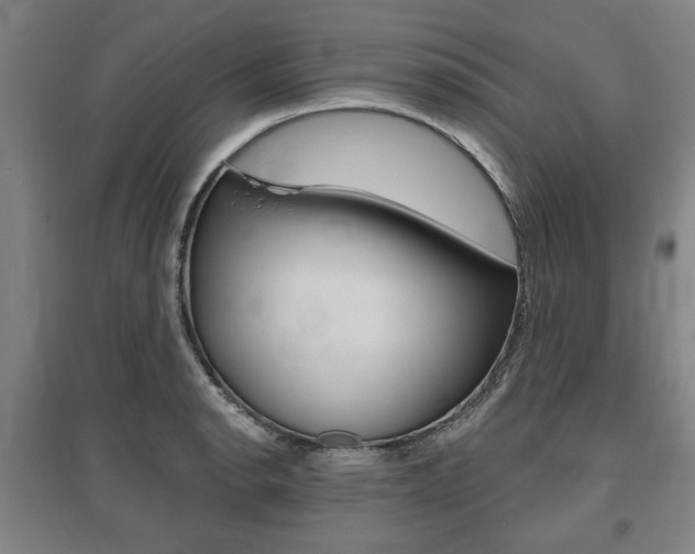X0000095881134200801110758