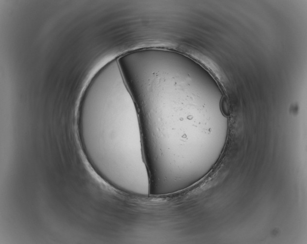 X0000095881135200801110758