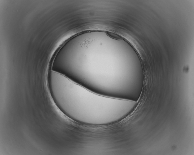X0000095881139200801110758