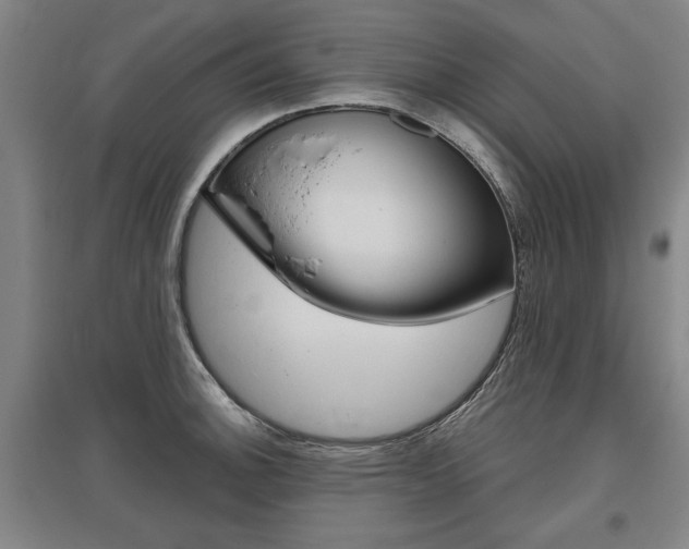 X0000095881140200801110758