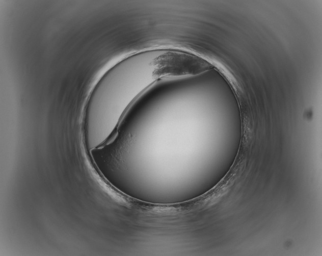 X0000095881142200801110758