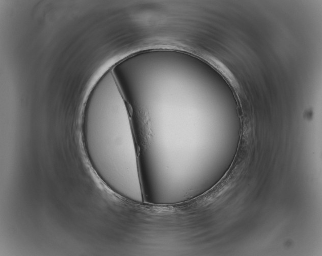 X0000095881144200801110758