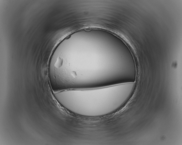 X0000095881145200801110758