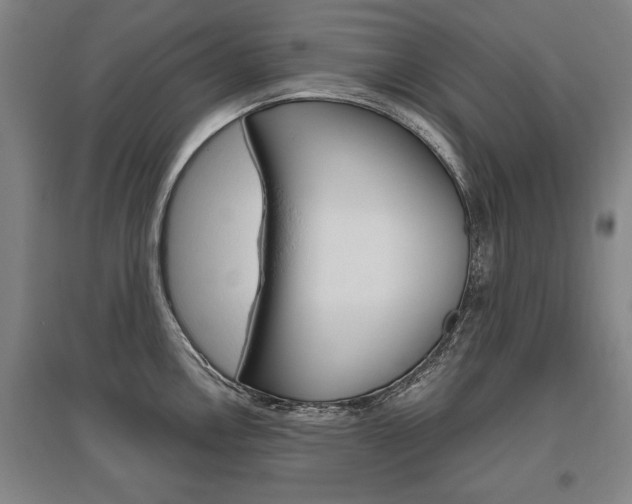 X0000095881146200801110758