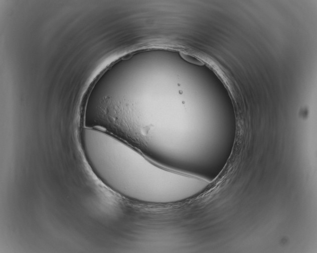X0000095881147200801110758