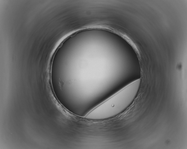 X0000095881148200801110758