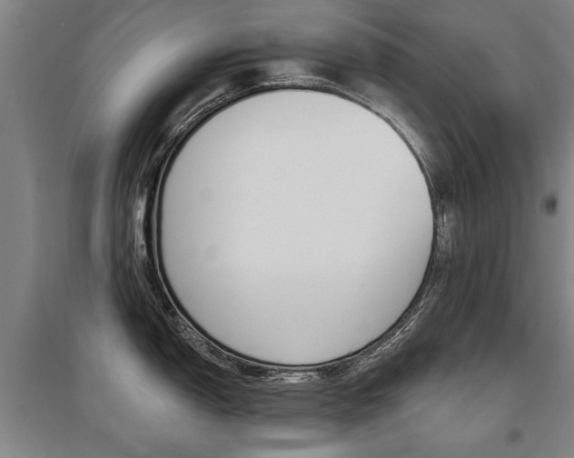 X0000095881150200801110758