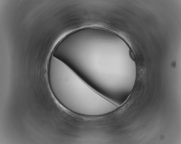 X0000095881151200801110758