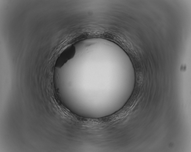 X0000095881153200801110758