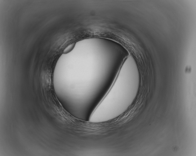 X0000095881155200801110758
